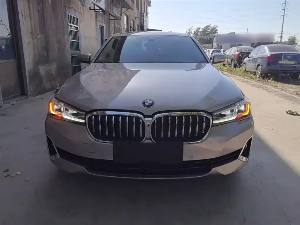 BMW 5 Series New Energy 2021 из CN, фото 2