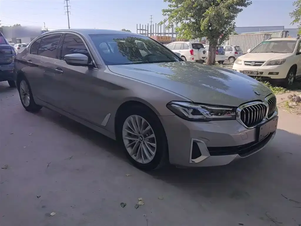 BMW 5 Series New Energy 2021 из CN, фото 4