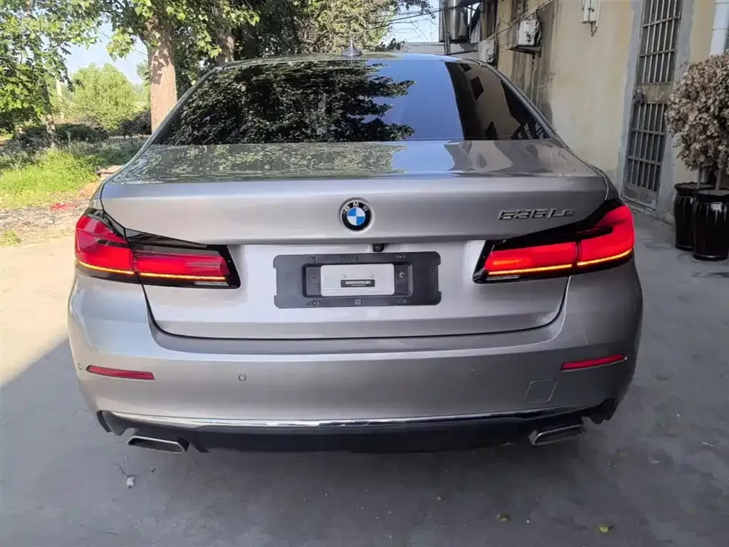 BMW 5 Series New Energy 2021 из CN, фото 9