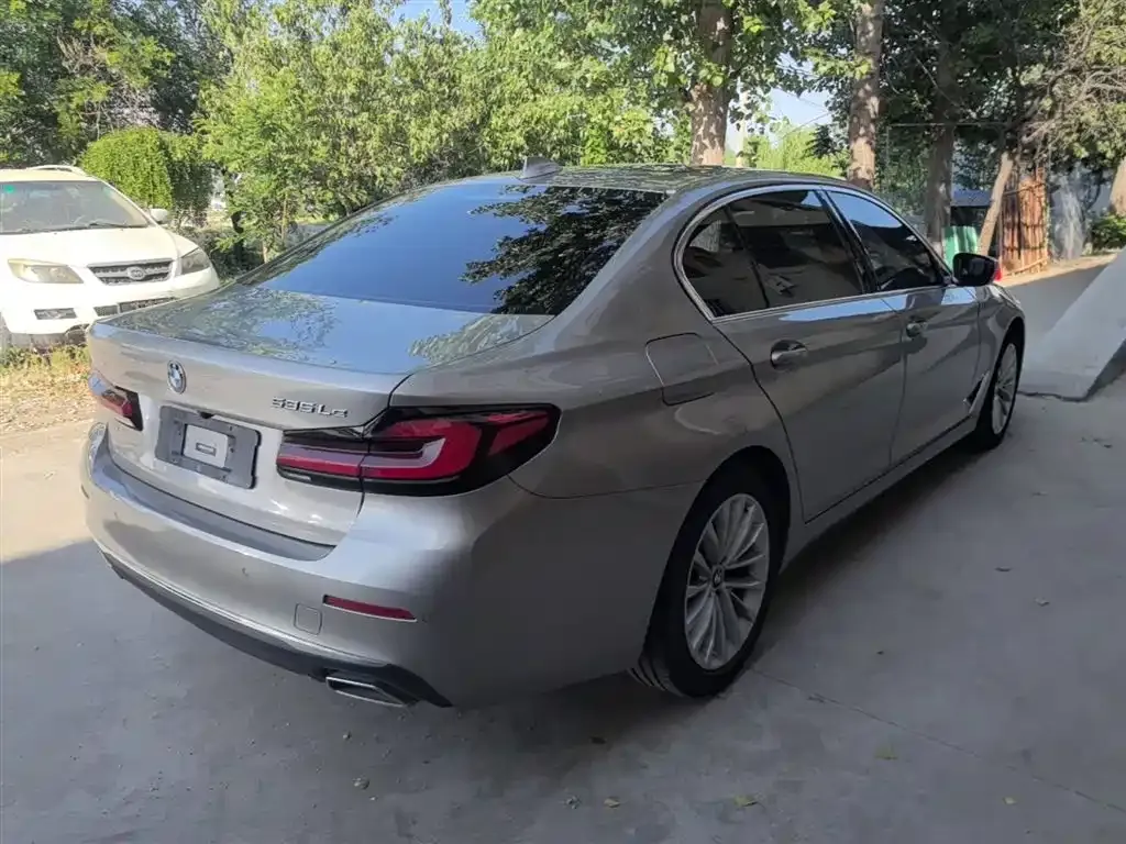 BMW 5 Series New Energy 2021 из CN, фото 10