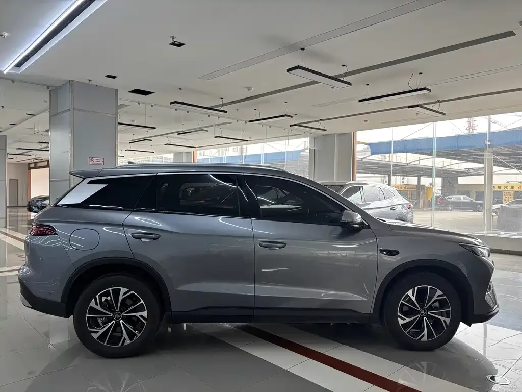 BYD Pro New Energy — фото 6