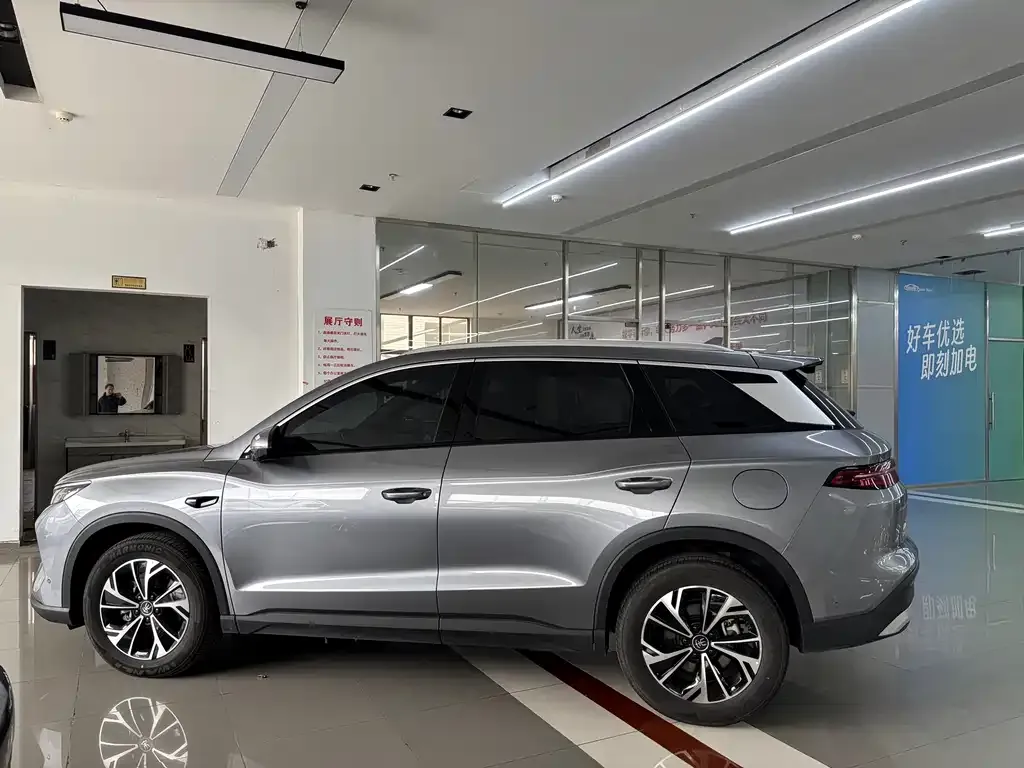 BYD Pro New Energy — фото 9