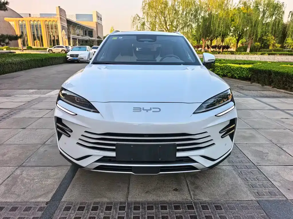 BYD PLUS New Energy — фото 1