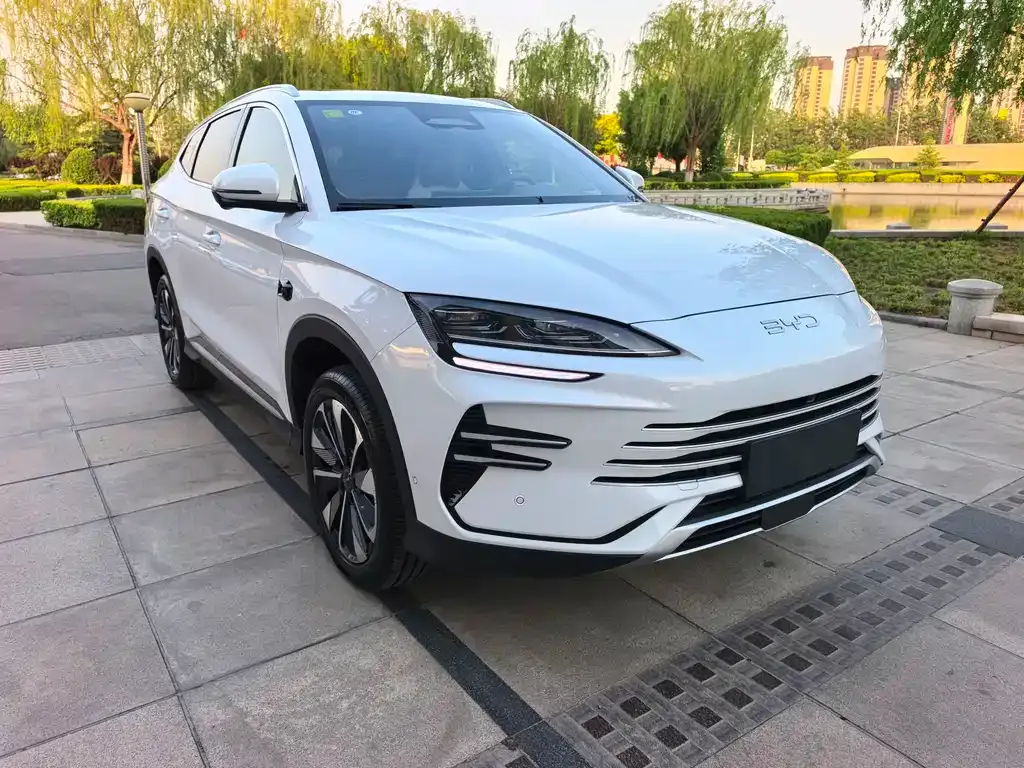 BYD PLUS New Energy — фото 10