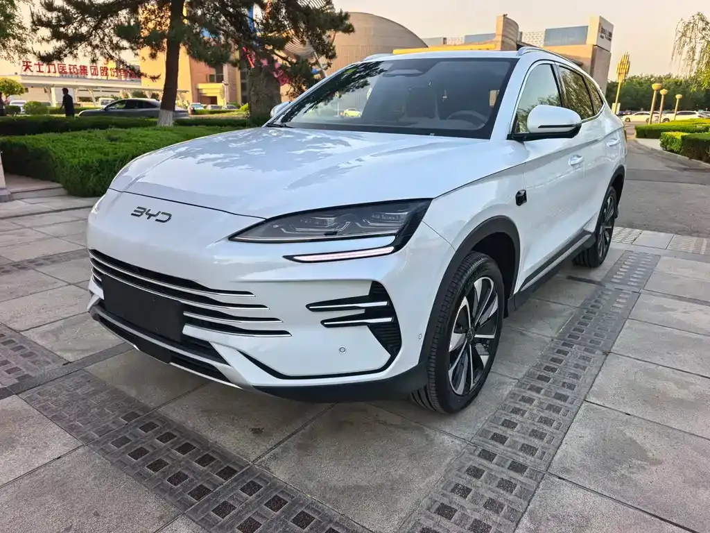 BYD PLUS New Energy — фото 4