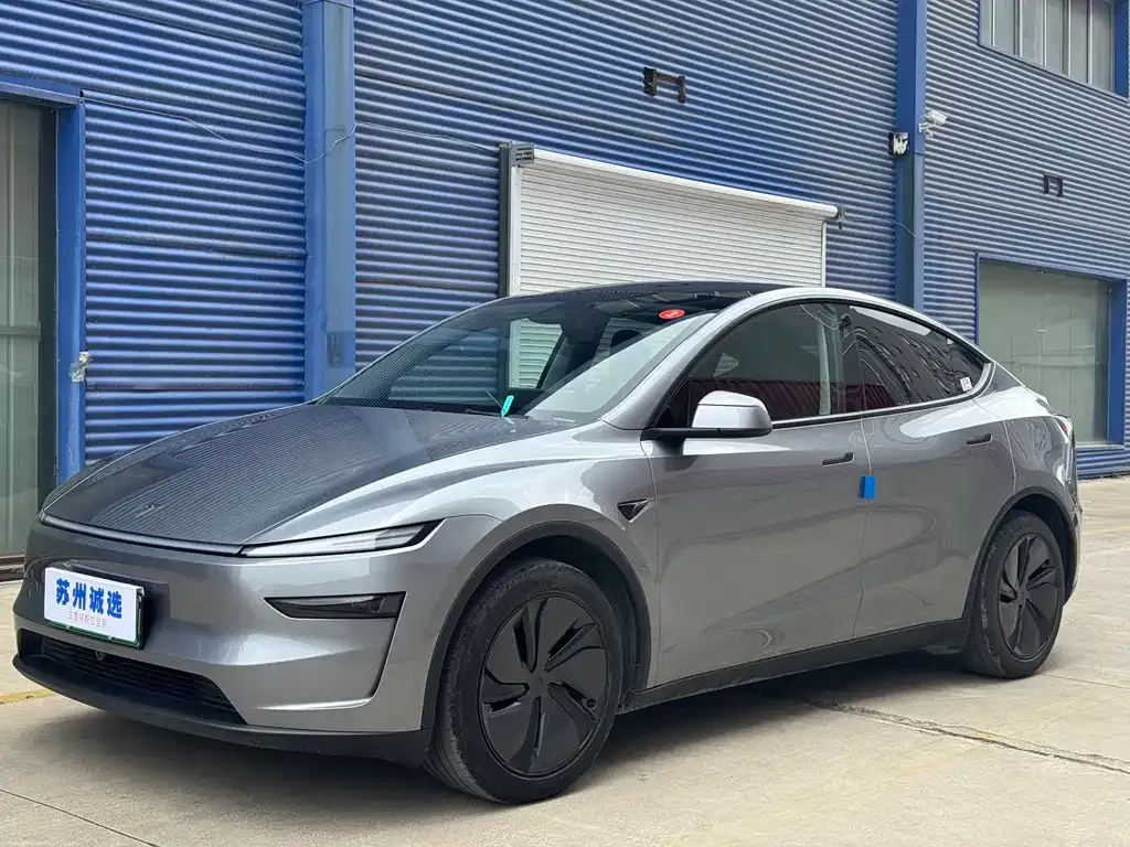 Tesla Model Y — фото 10