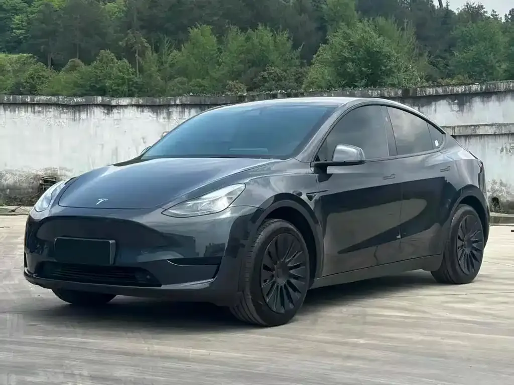 Tesla Model Y — фото 1