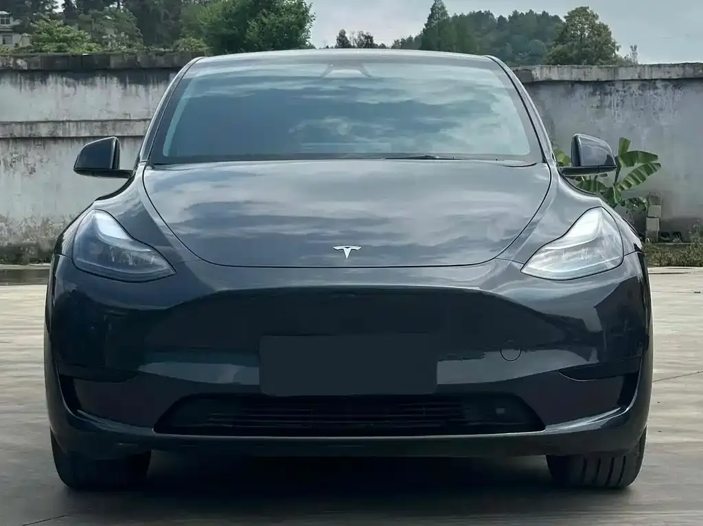 Tesla Model Y — фото 8
