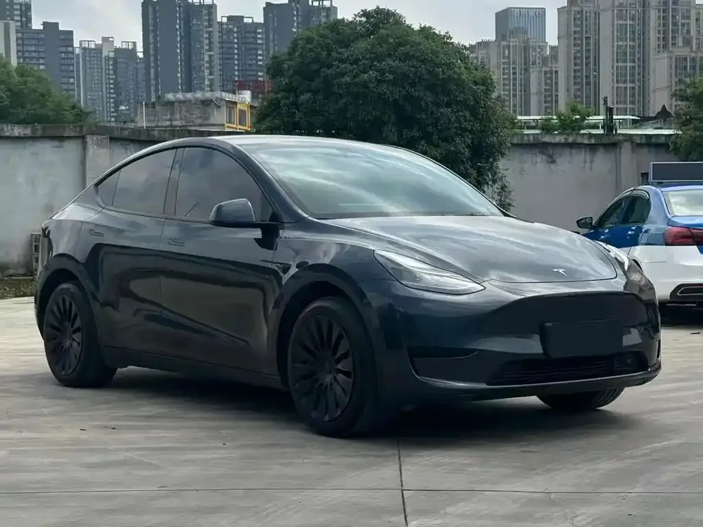 Tesla Model Y — фото 9