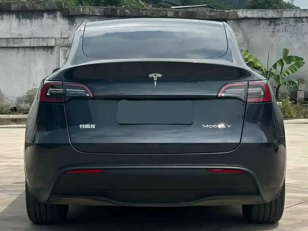 Tesla Model Y — фото 6