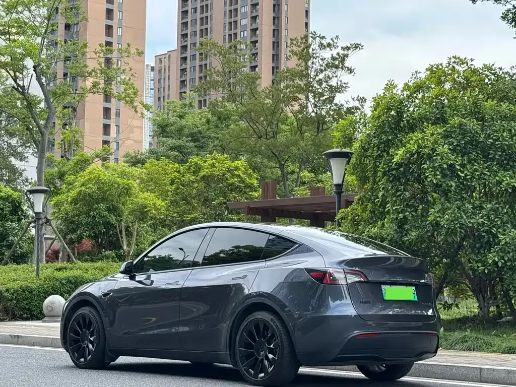 Tesla Model Y — фото 9