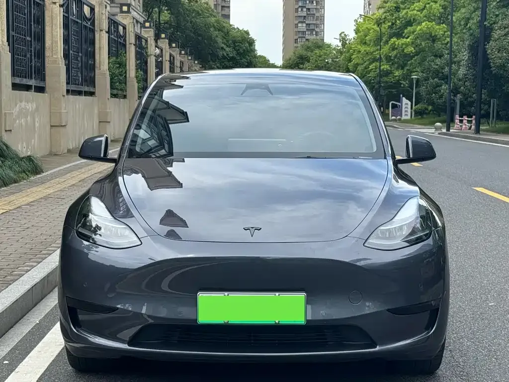 Tesla Model Y — фото 3