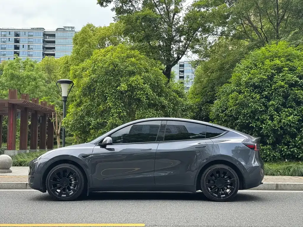Tesla Model Y — фото 10
