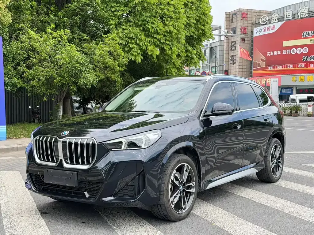 BMW X1 — фото 1
