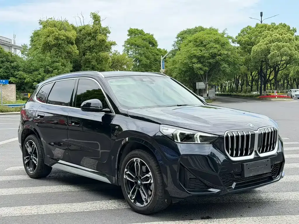 BMW X1 — фото 3