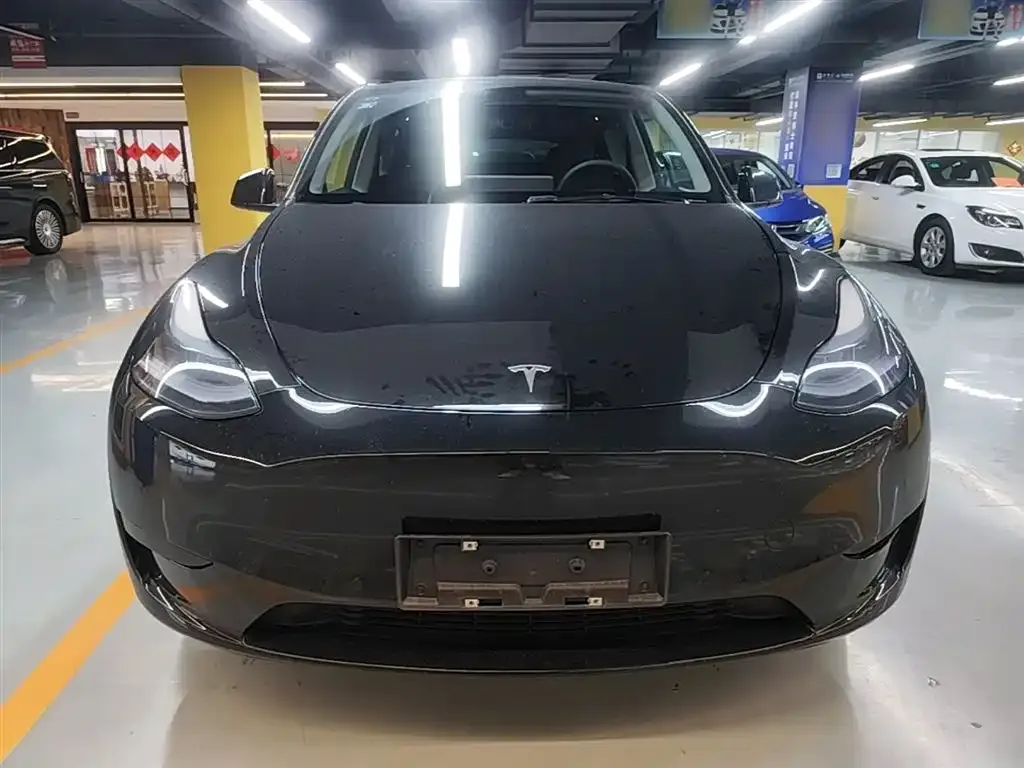 Tesla Model Y — фото 6