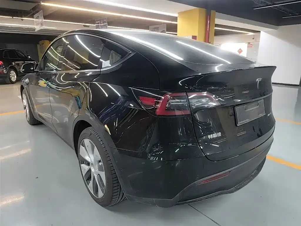 Tesla Model Y — фото 3