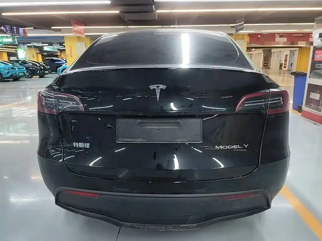 Tesla Model Y — фото 2