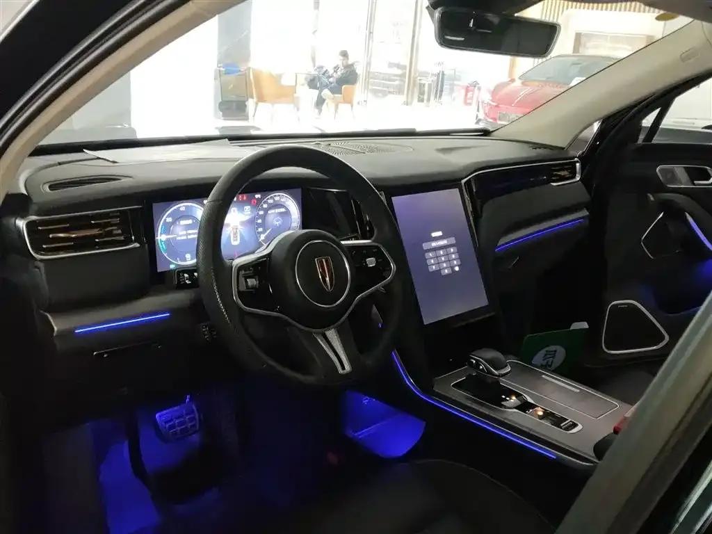 Hongqi HS7 PHEV 2024 из CN, фото 8