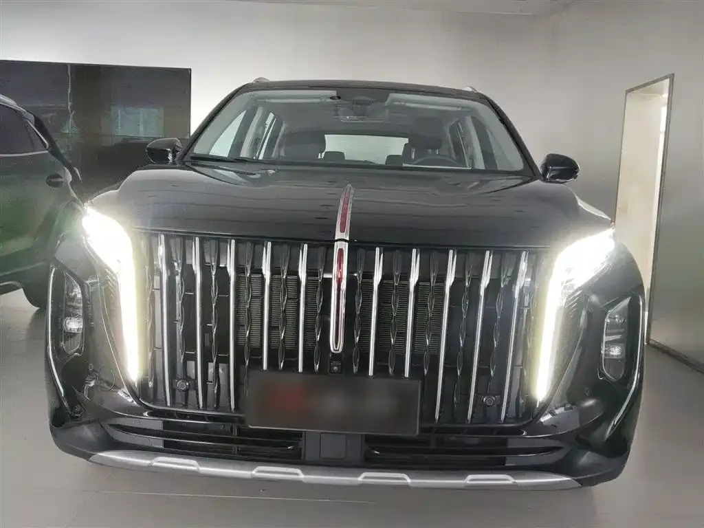 Hongqi HS7 PHEV 2024 из CN, фото 2
