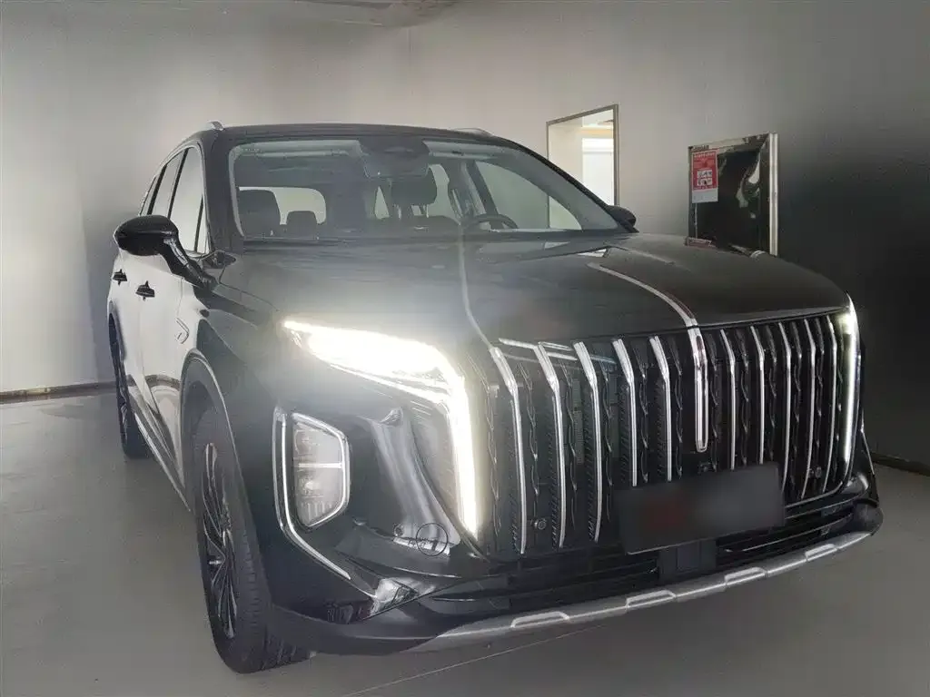 Hongqi HS7 PHEV 2024 из CN, фото 10