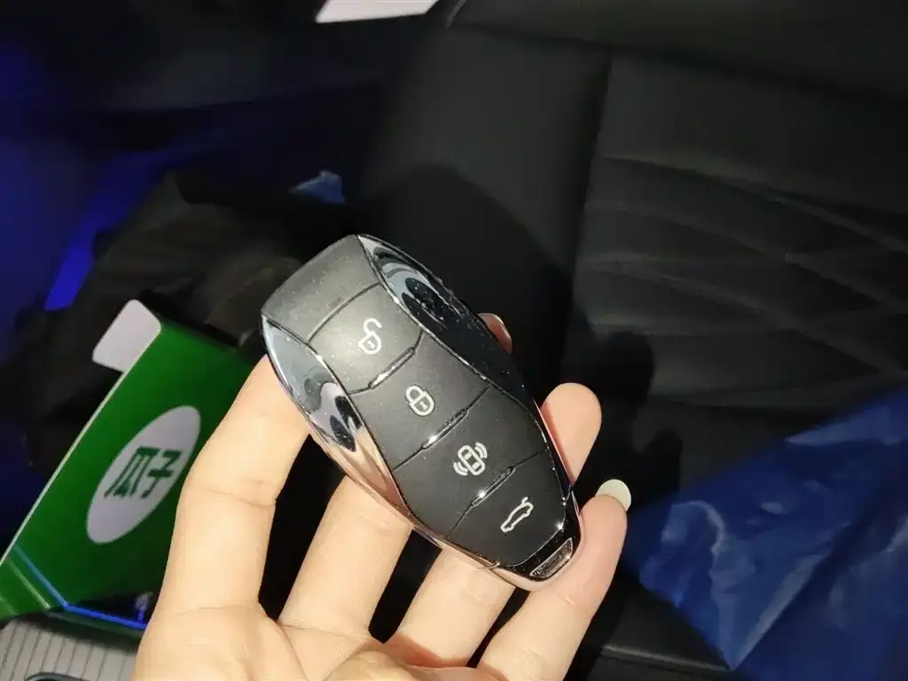 Hongqi HS7 PHEV 2024 из CN, фото 4