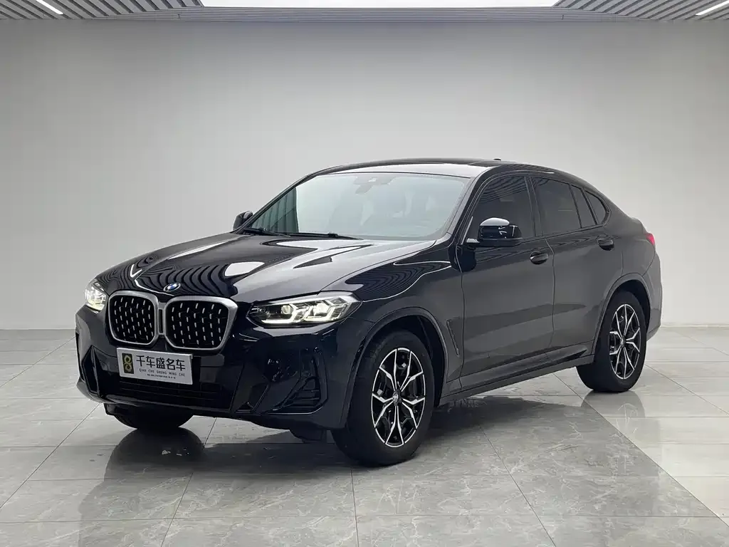 BMW X4 — фото 1
