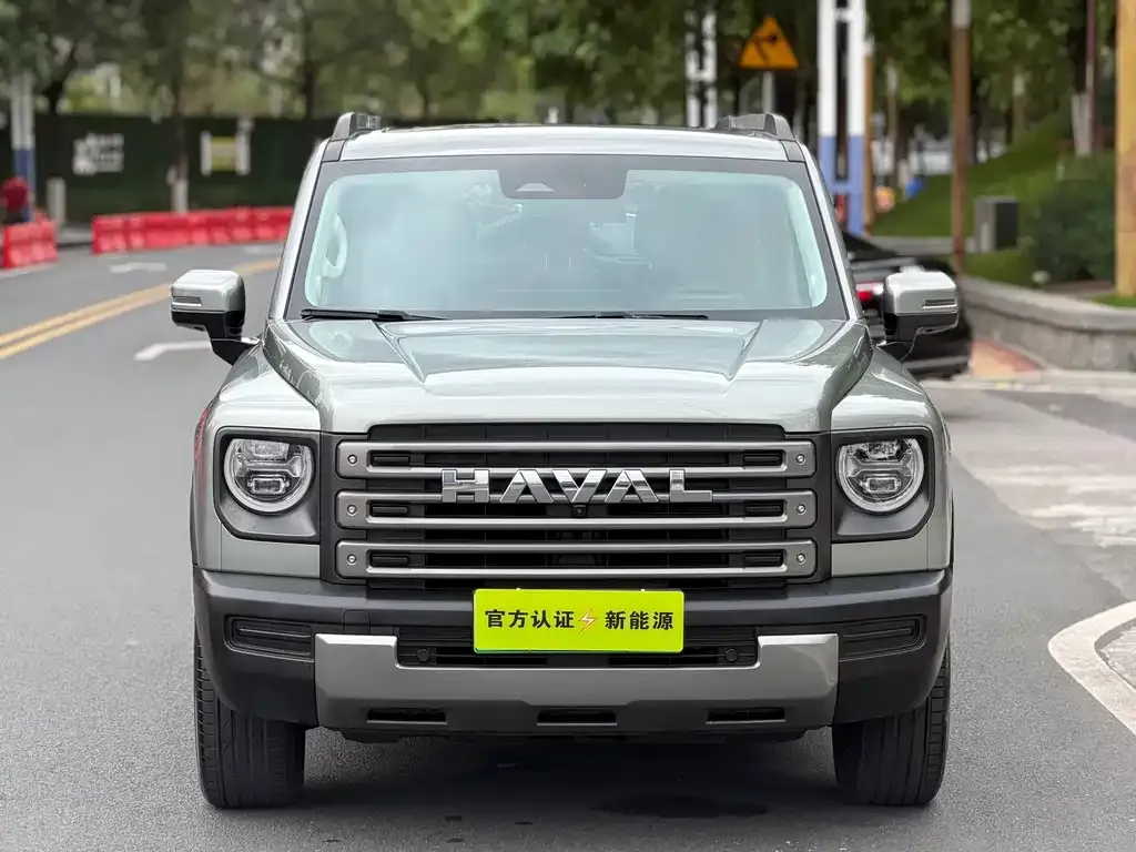 Haval Menglong New Energy 2024 из CN, фото 7