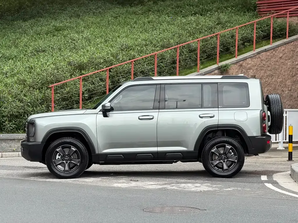 Haval Menglong New Energy 2024 из CN, фото 10