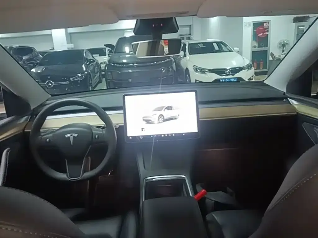 Tesla Model Y — фото 9