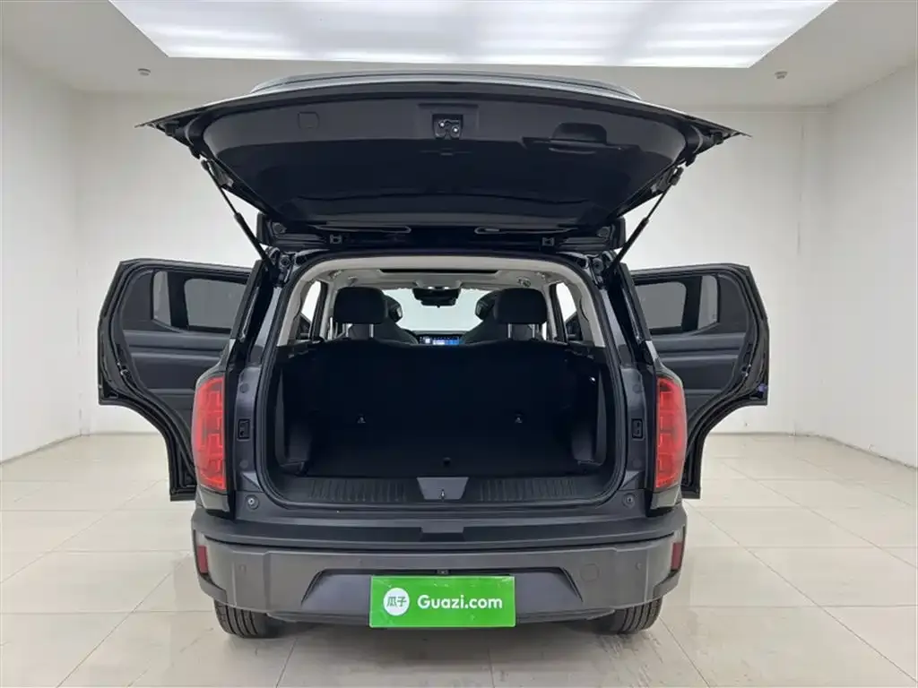 Haval Cool Dog 2022 из CN, фото 2