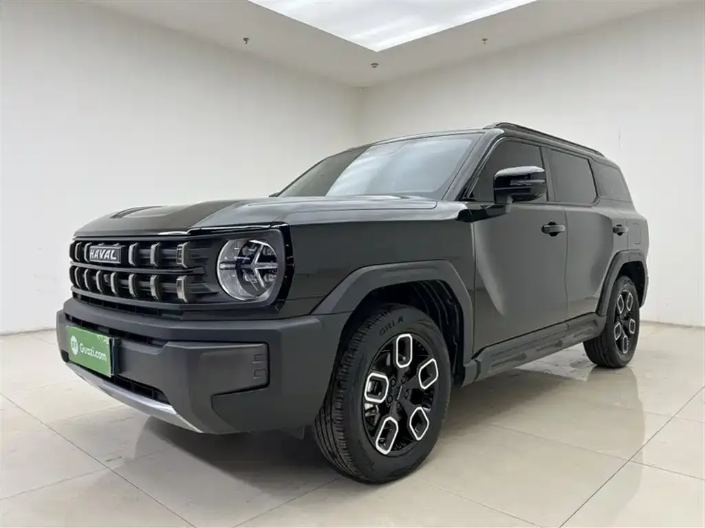 Haval Cool Dog 2022 из CN, фото 5