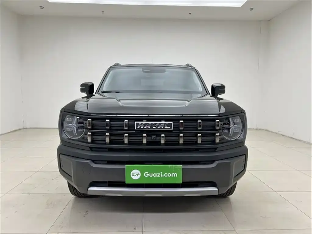 Haval Cool Dog 2022 из CN, фото 8