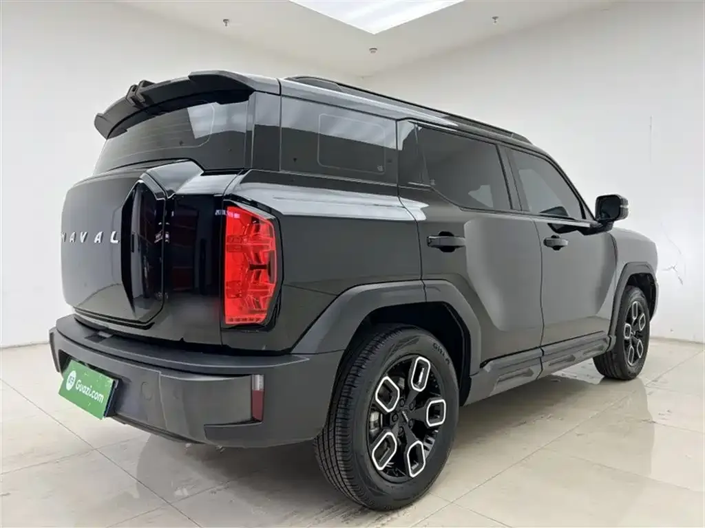 Haval Cool Dog 2022 из CN, фото 4