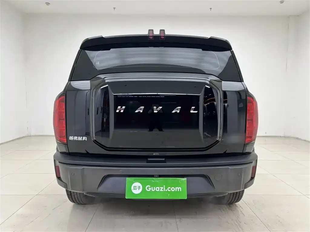 Haval Cool Dog 2022 из CN, фото 3