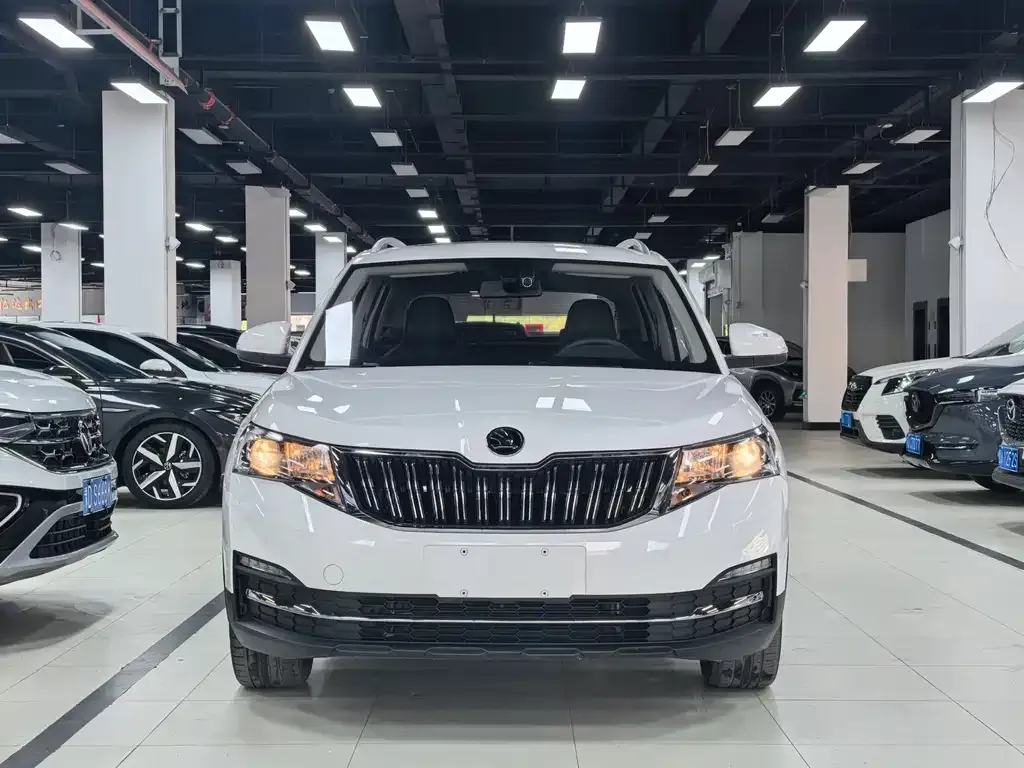 Skoda Kamiq 2022 из CN, фото 3