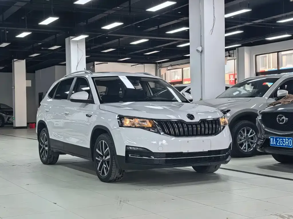 Skoda Kamiq 2022 из CN, фото 7