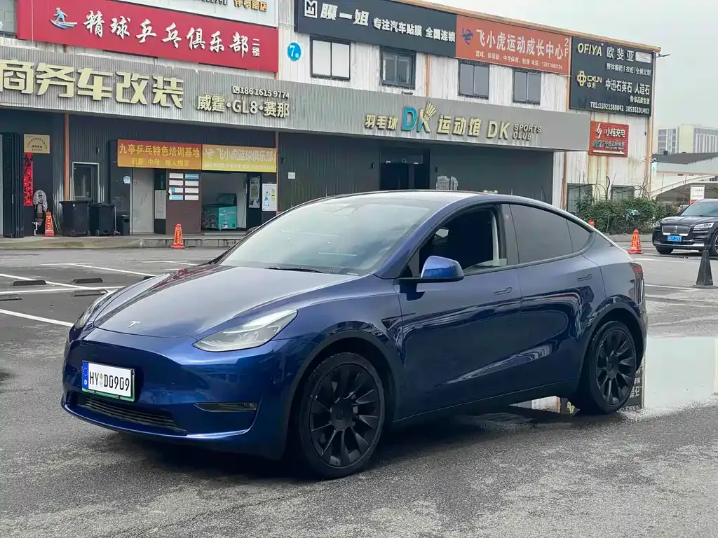 Tesla Model Y — фото 1