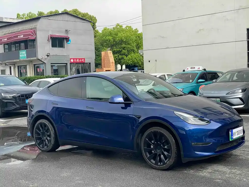 Tesla Model Y — фото 6