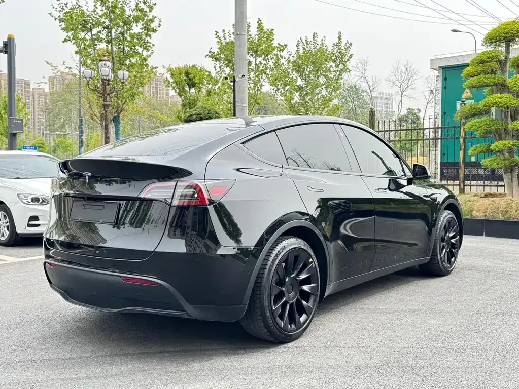 Tesla Model Y — фото 10