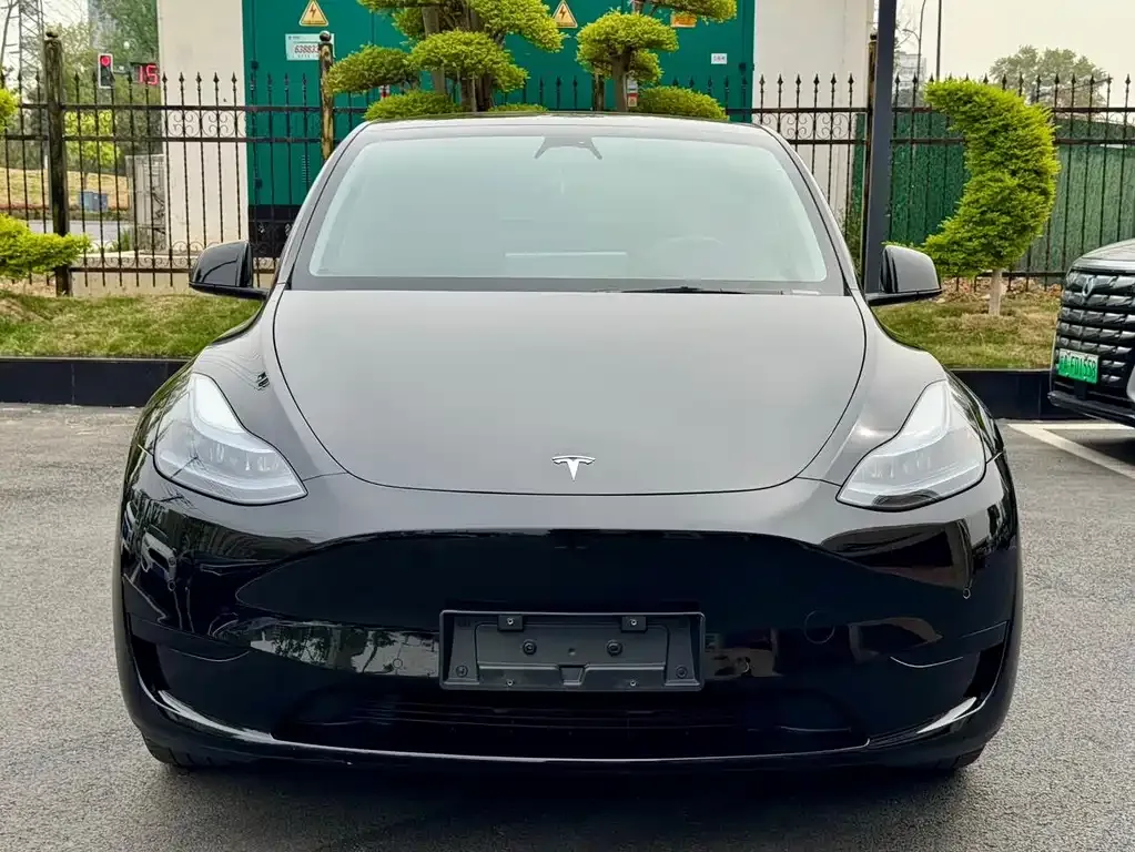 Tesla Model Y — фото 9