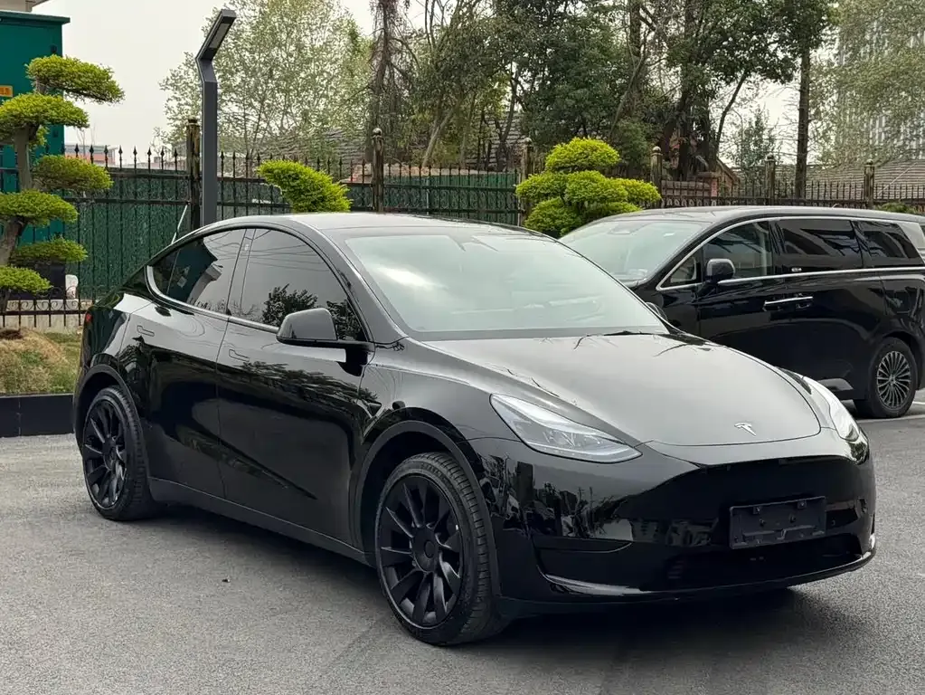 Tesla Model Y — фото 5