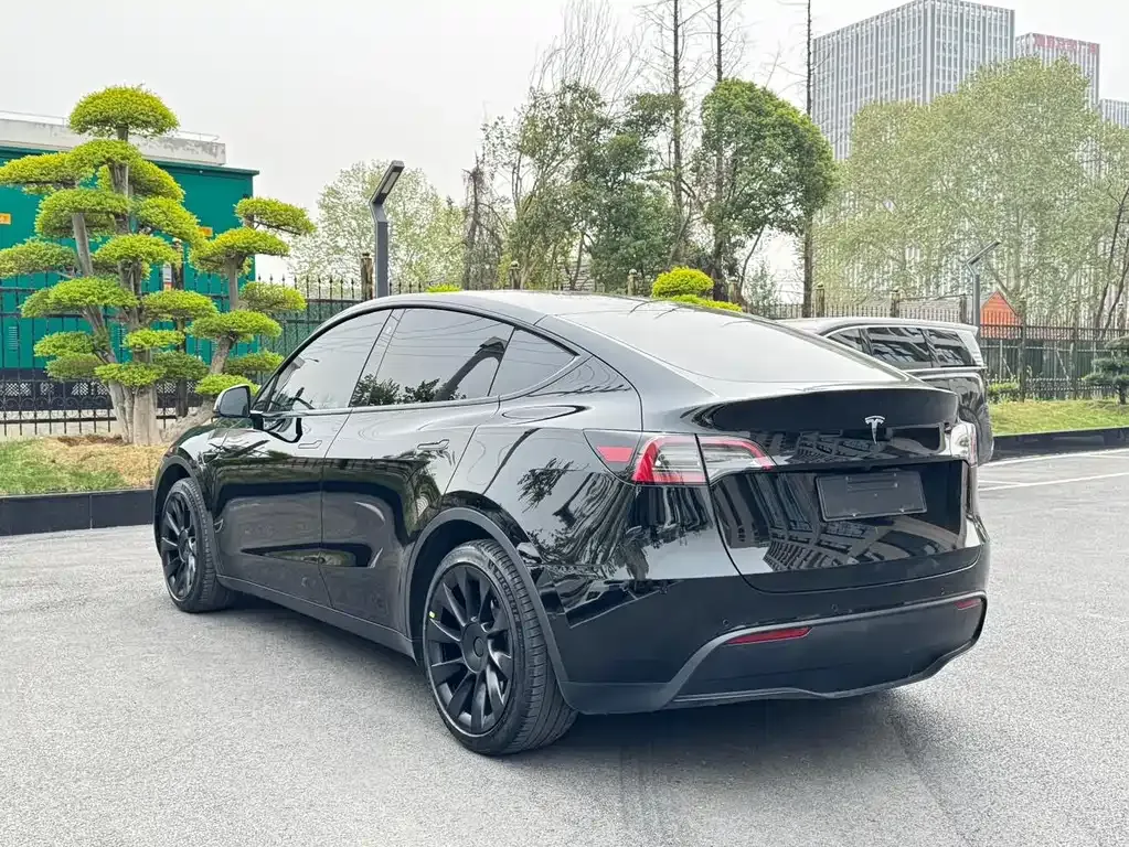 Tesla Model Y — фото 8