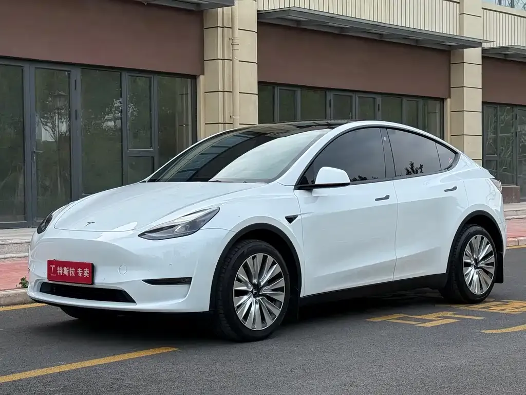 Tesla Model Y — фото 1