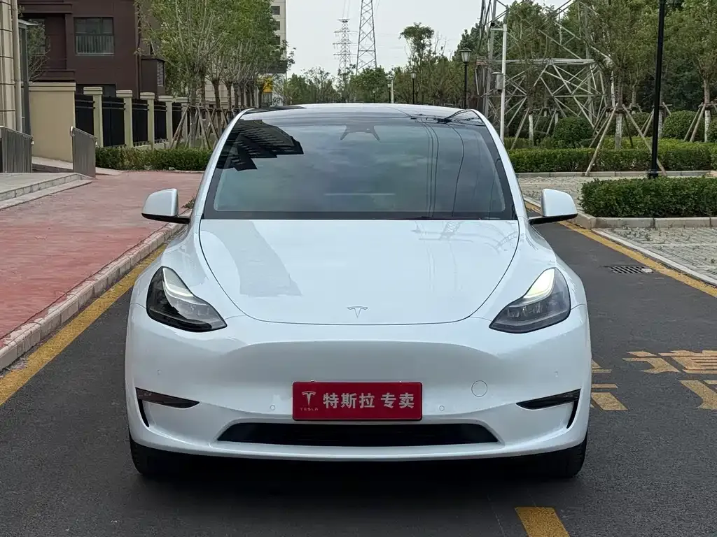 Tesla Model Y — фото 5
