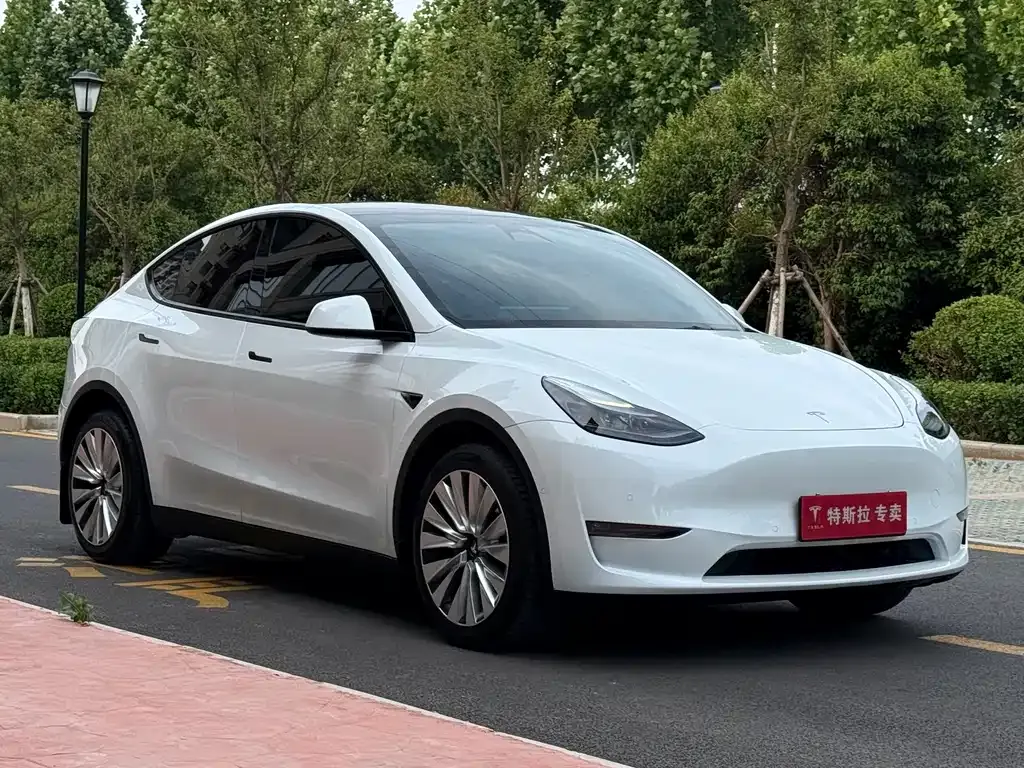 Tesla Model Y — фото 8