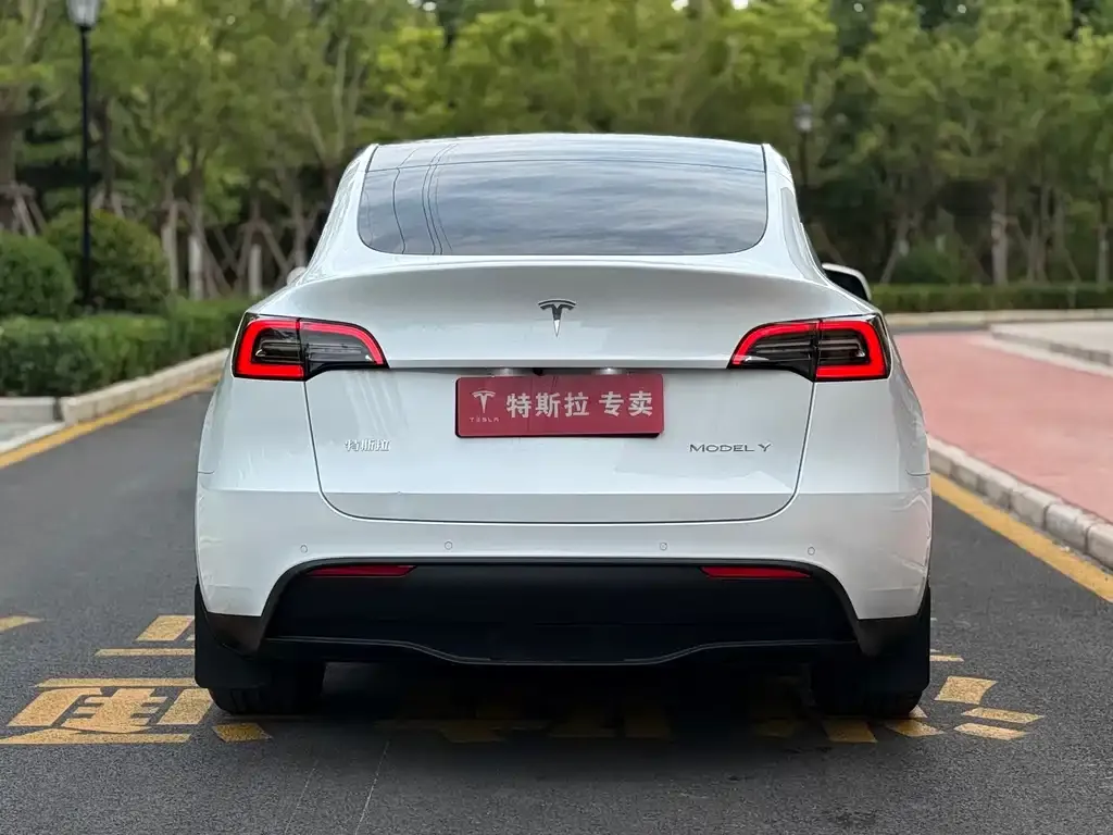 Tesla Model Y — фото 3