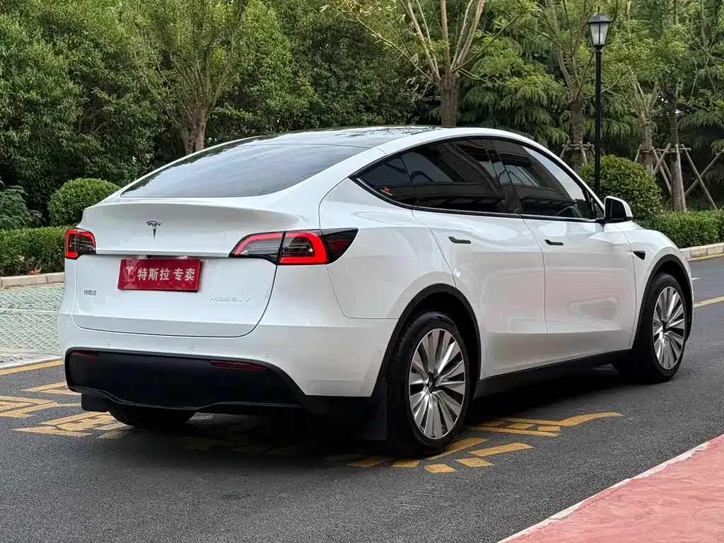 Tesla Model Y — фото 9