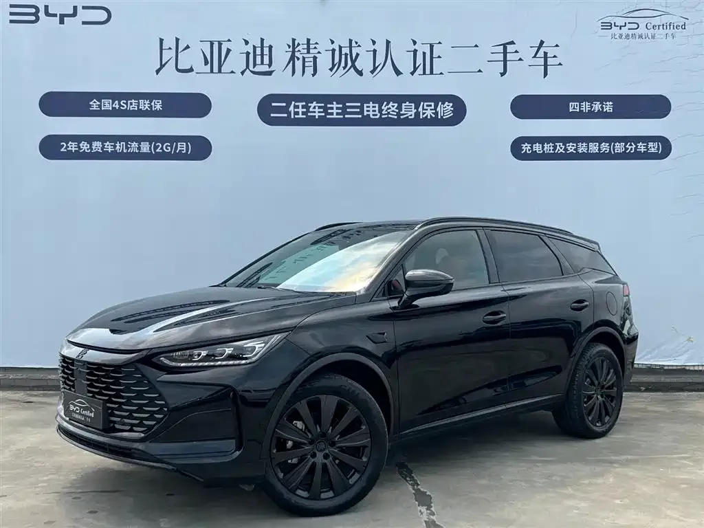 BYD Tang New Energy — фото 1