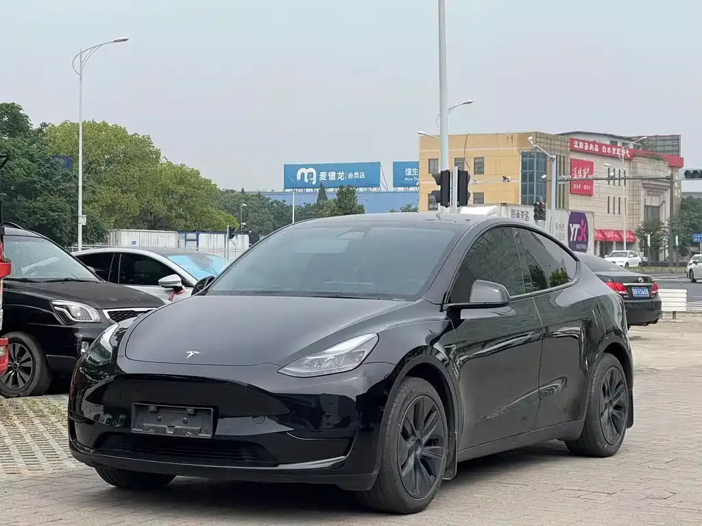 Tesla Model Y — фото 1